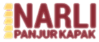 Panjur Kapak